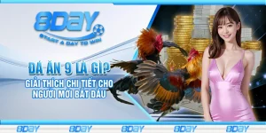 Đá ăn 9 là gì? Giải thích chi tiết cho người mới bắt đầu