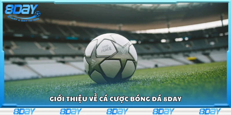 Sơ lược về cá cược bóng đá 8Day