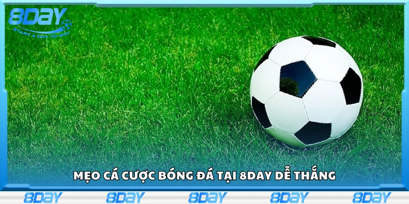 Chia sẻ mẹo cá cược bóng đá dễ thắng
