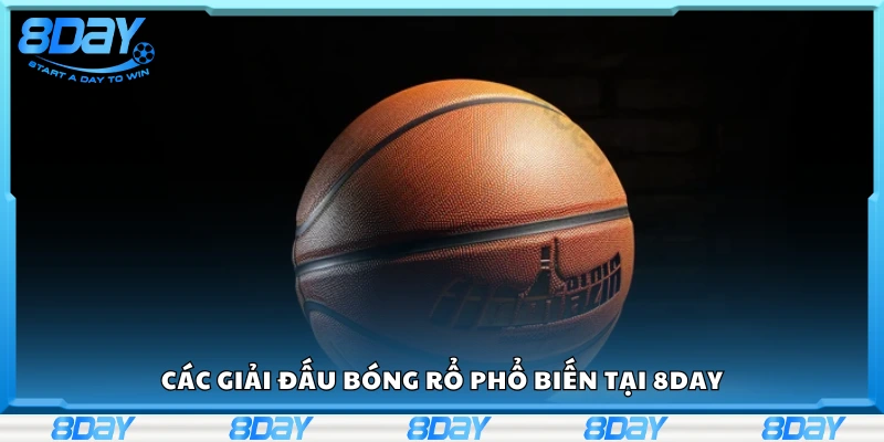 Tổng hợp các giải đấu bóng rổ phổ biến