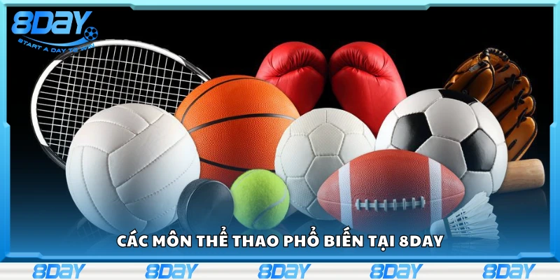 Khám phá các môn thể thao phổ biến