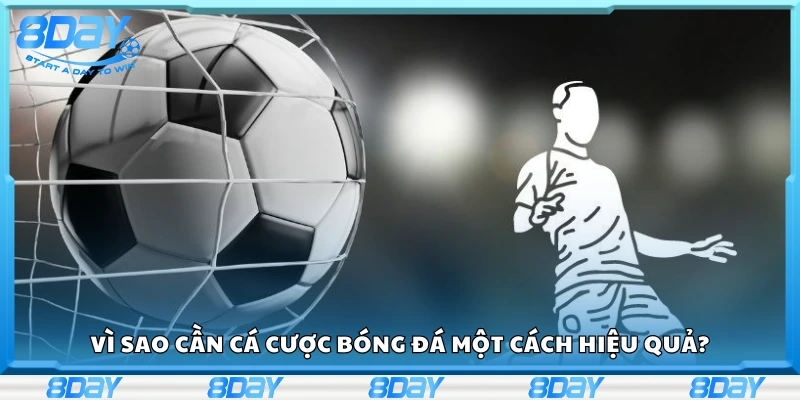 Lý do cần cá cược bóng đá một cách hiệu quả