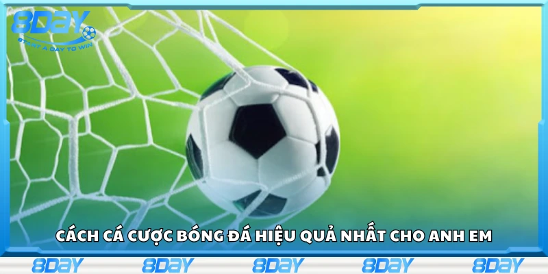 Cách cá cược bóng đá hiệu quả nhất cho anh em