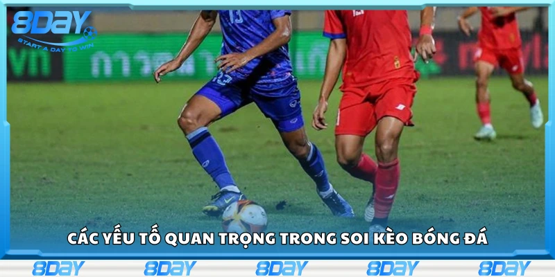 Một số yếu tố quan trọng trong soi kèo bóng đá