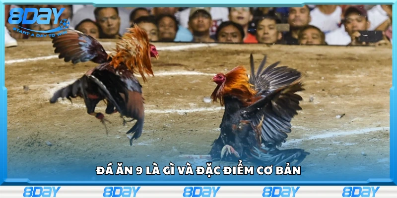 Tìm hiểu đá ăn 9 là gì?