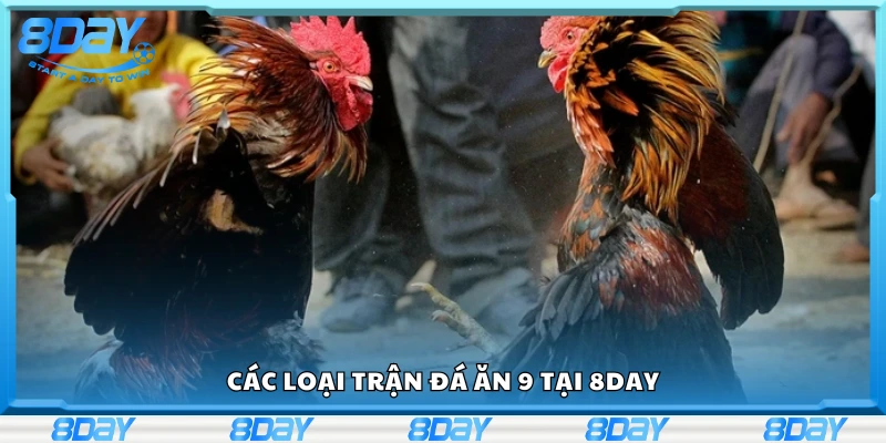 Một số loại trận đá ăn 9 tại 8Day
