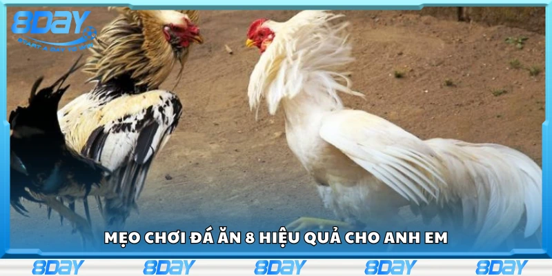 Mẹo chơi đá ăn 8 dễ thắng cho cược thủ