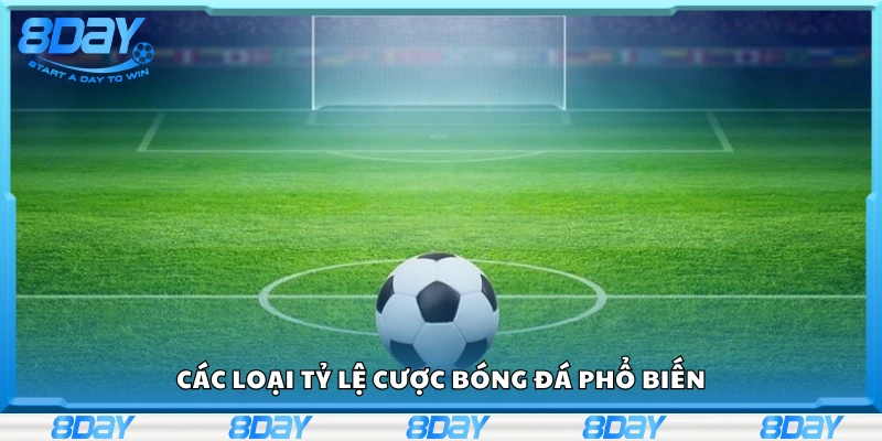 Một số loại tỷ lệ cược bóng đá phổ biến