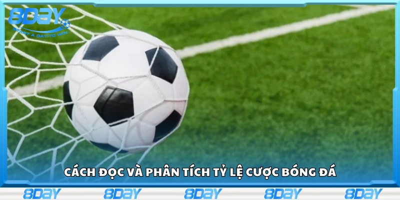 Hướng dẫn cách đọc và phân tích tỷ lệ cược bóng đá