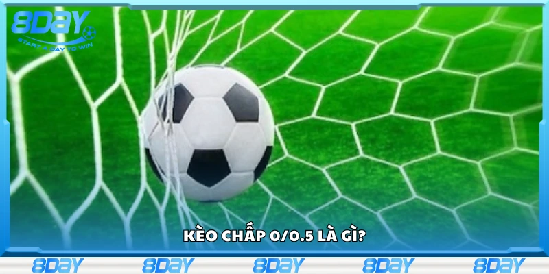 Tìm hiểu kèo chấp 0/0.5 là gì?