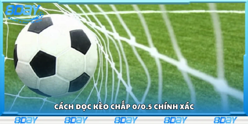 Hướng dẫn cách đọc kèo chấp 0/0.5 chính xác