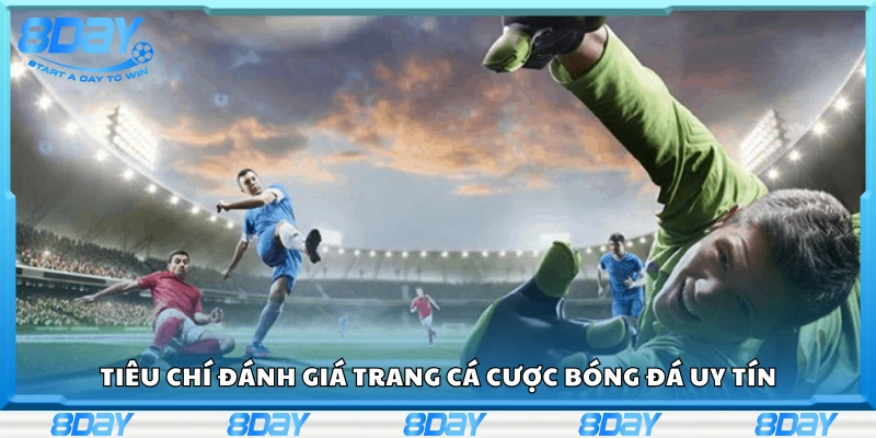 Các tiêu chí đánh giá trang cá cược bóng đá uy tín
